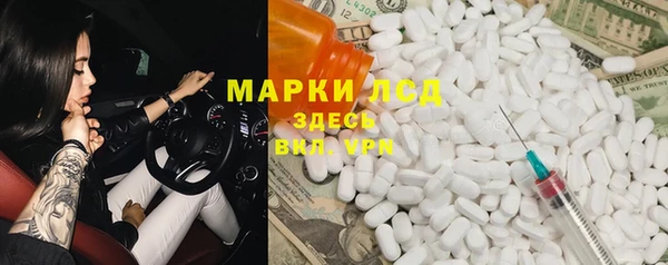 прущие грибы Балахна