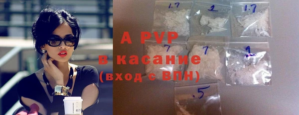 прущие грибы Балахна