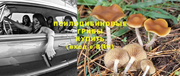 ECSTASY Балабаново