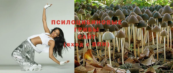 прущие грибы Балахна