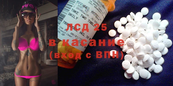 прущие грибы Балахна