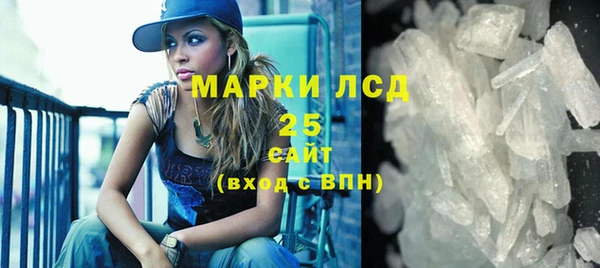 прущие грибы Балахна