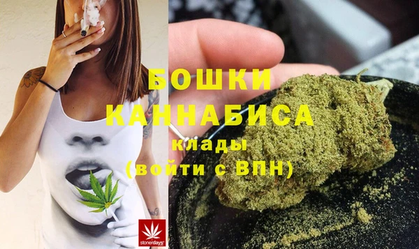 прущие грибы Балахна
